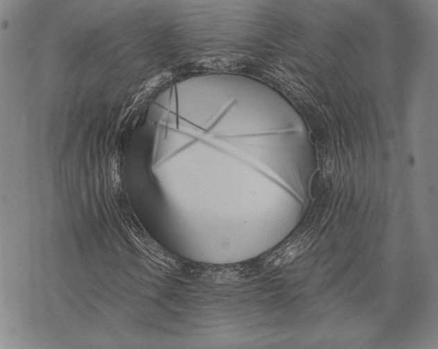 X0000073721106200608241225