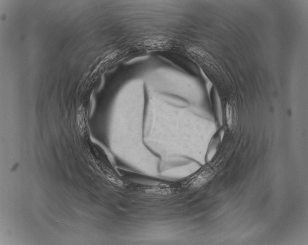 X0000073721107200608241225