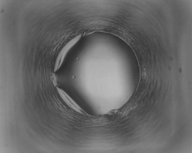 X0000073721108200608241225