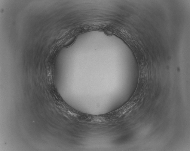 X0000073721109200608241225