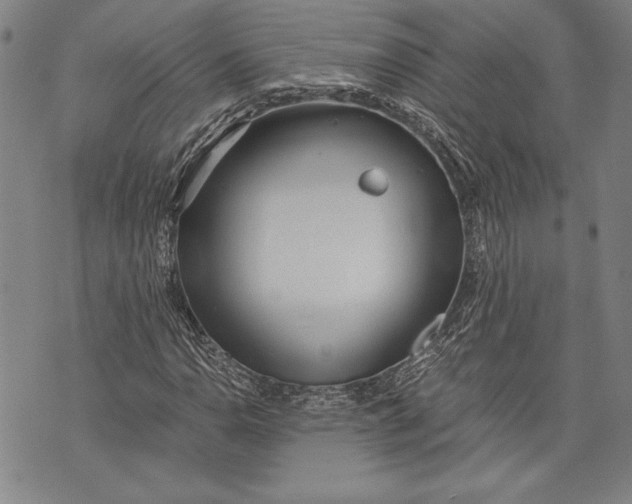 X0000073721110200608241225