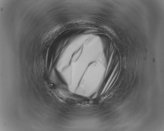 X0000073721111200608241225