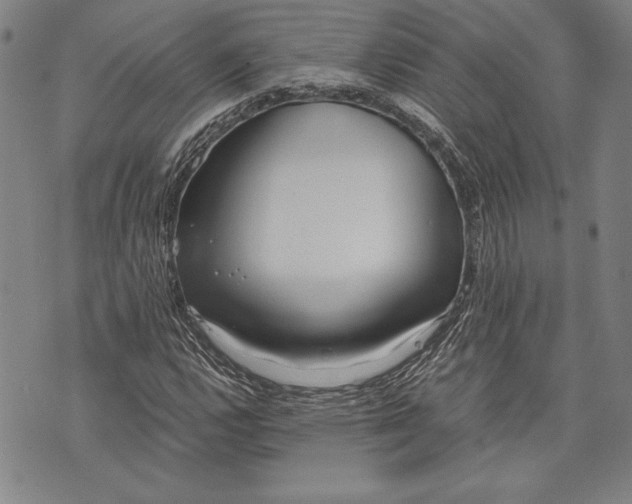 X0000073721112200608241225