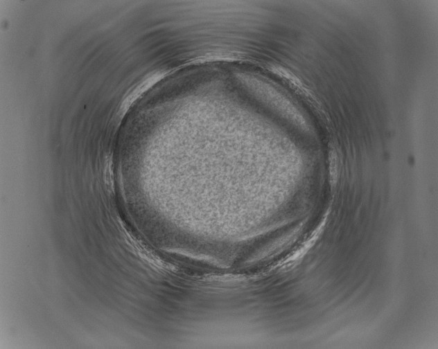 X0000073721113200608241225