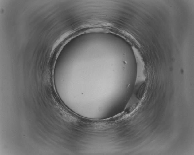 X0000073721114200608241225