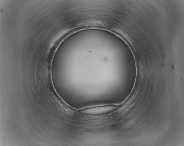 X0000073721115200608241225