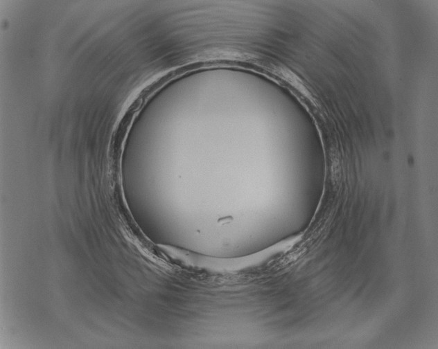 X0000073721116200608241225