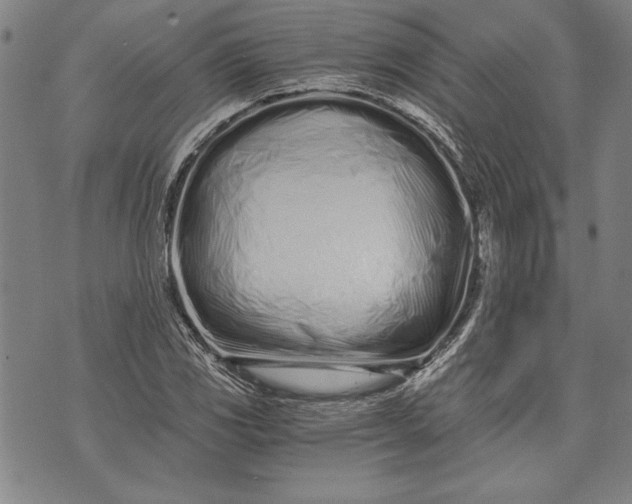 X0000073721117200608241225