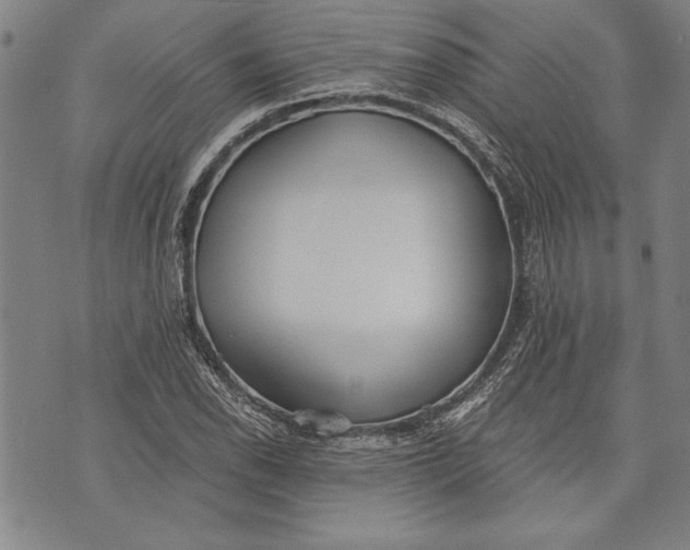 X0000073721118200608241225