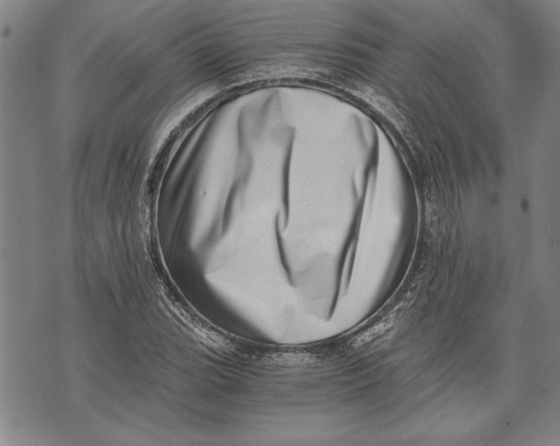 X0000073721119200608241225