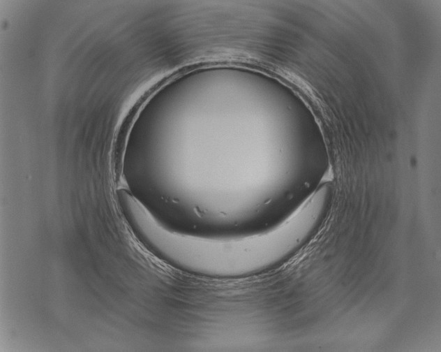 X0000073721120200608241225