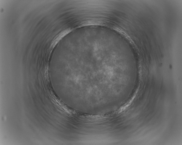 X0000073721121200608241225