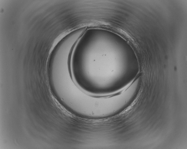 X0000073721122200608241225