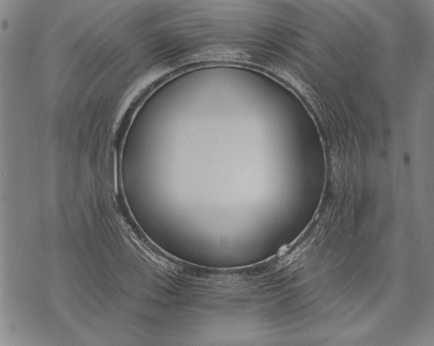 X0000073721123200608241225