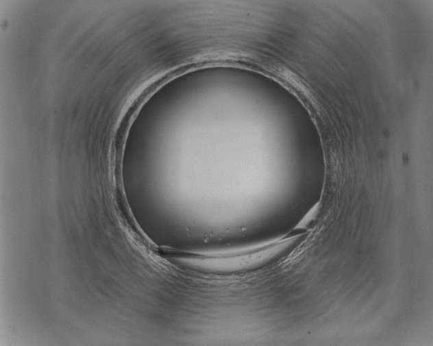 X0000073721124200608241225