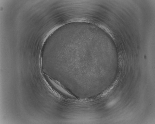 X0000073721125200608241225