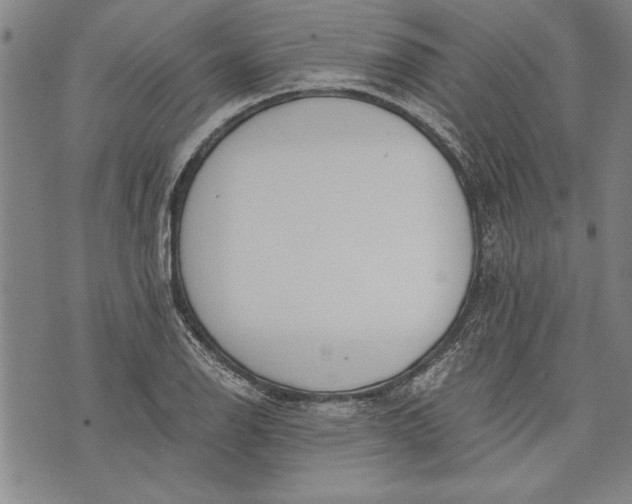 X0000073721126200608241225