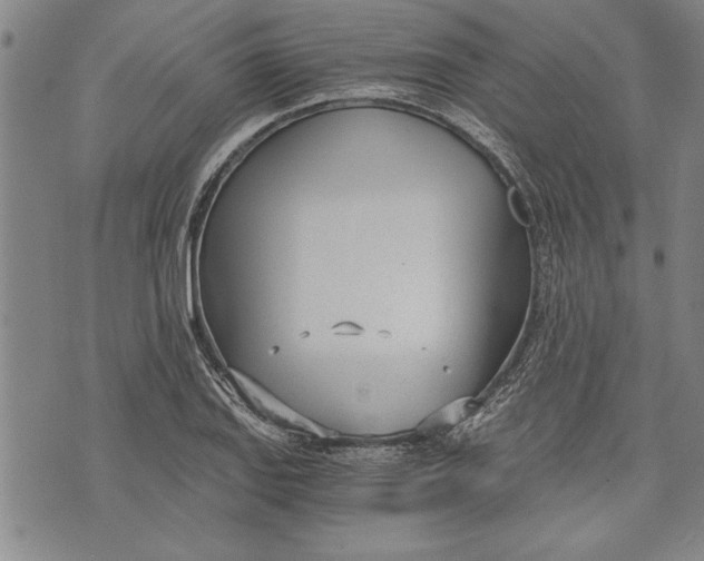 X0000073721127200608241225