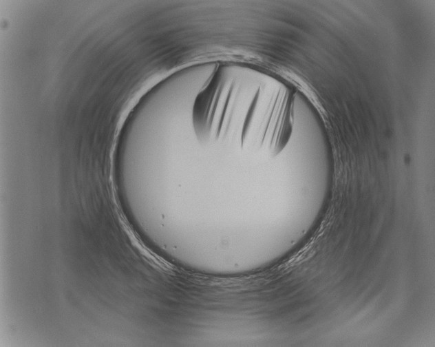 X0000073721128200608241225