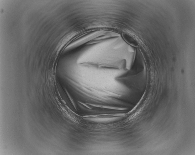 X0000073721129200608241225