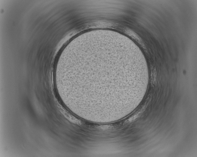 X0000073721130200608241225