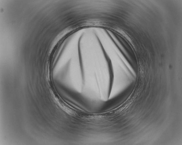 X0000073721131200608241225