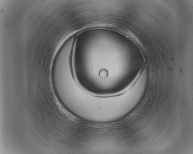 X0000073721132200608241225