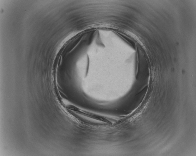 X0000073721133200608241225