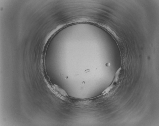 X0000073721134200608241225