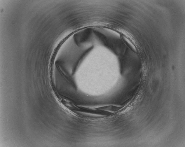 X0000073721135200608241225