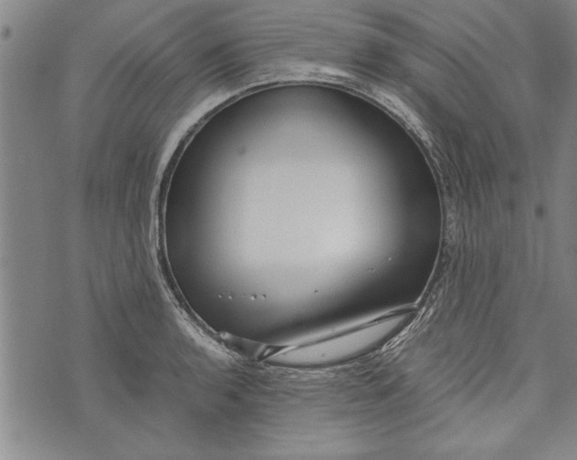 X0000073721136200608241225