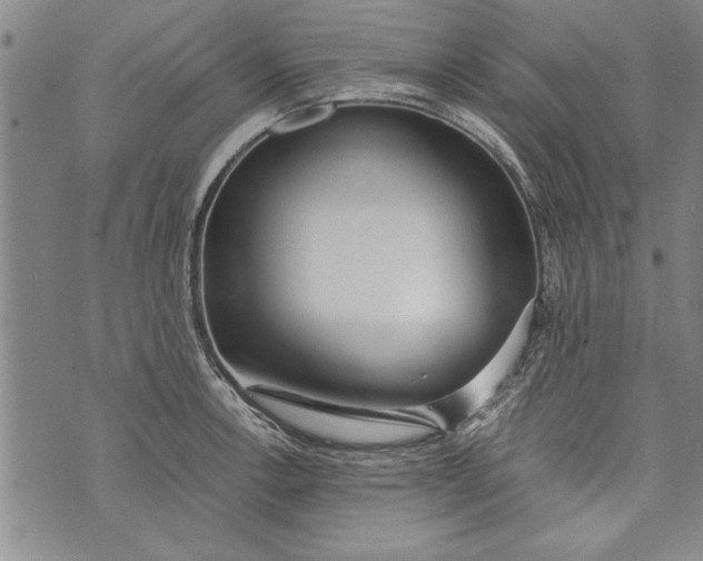 X0000073721138200608241225