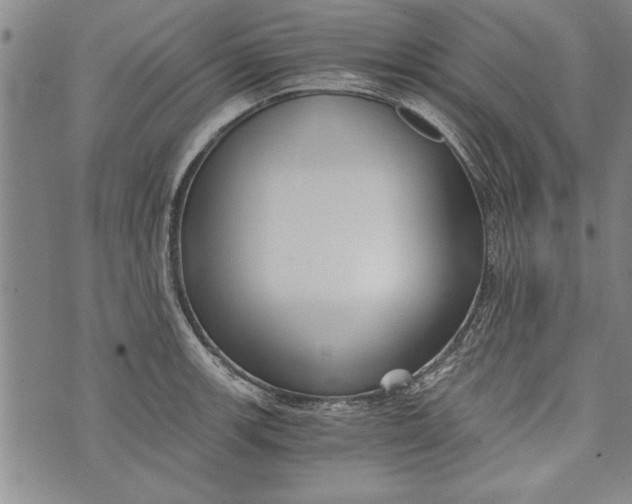 X0000073721139200608241225