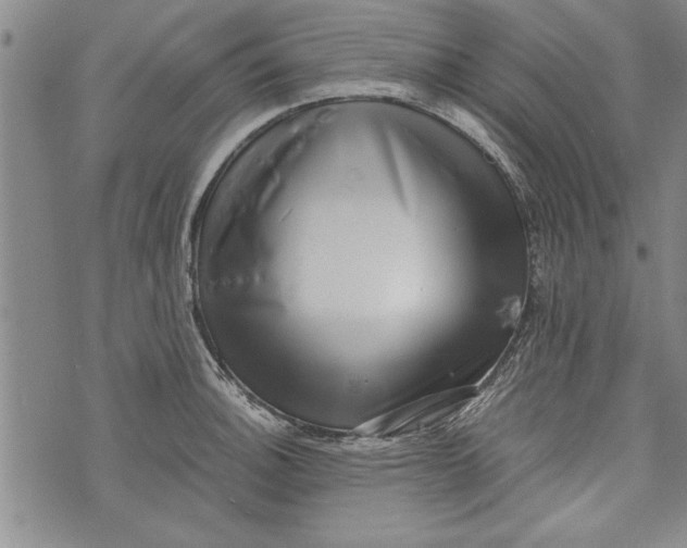 X0000073721140200608241225