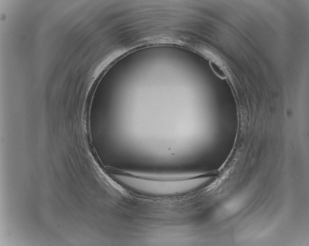 X0000073721141200608241225