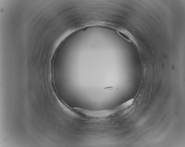 X0000073721143200608241225