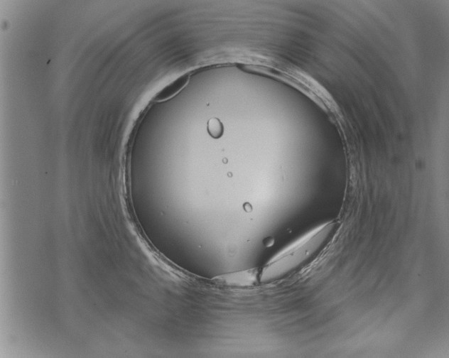 X0000073721144200608241225