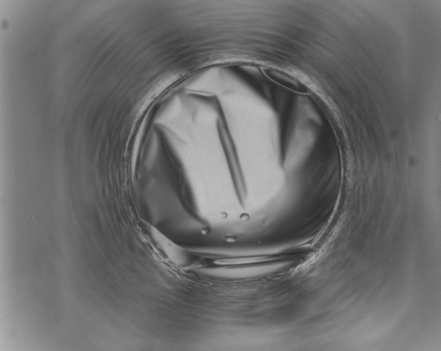 X0000073721145200608241225