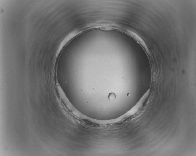 X0000073721146200608241225