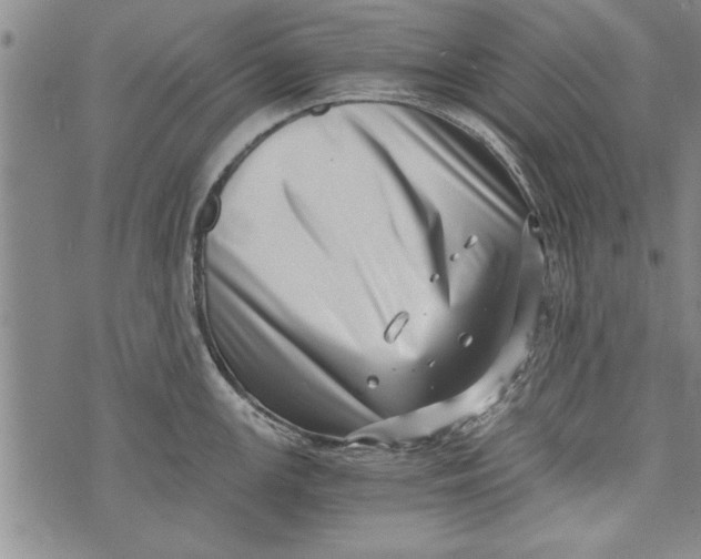 X0000073721147200608241225