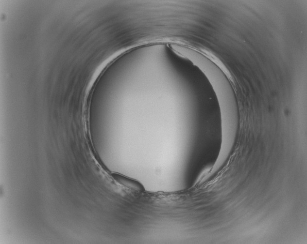 X0000073721148200608241225