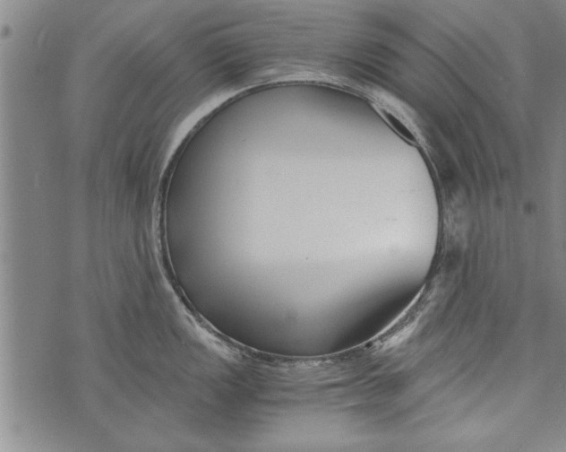 X0000073721149200608241225