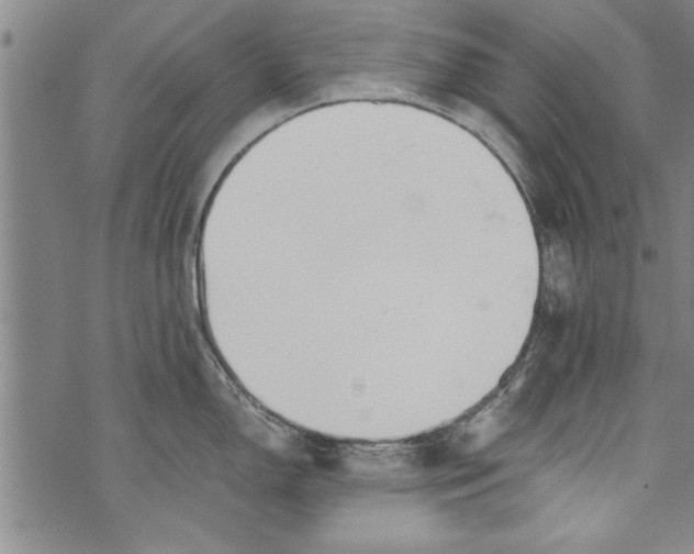 X0000073721150200608241225