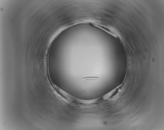 X0000073721151200608241225