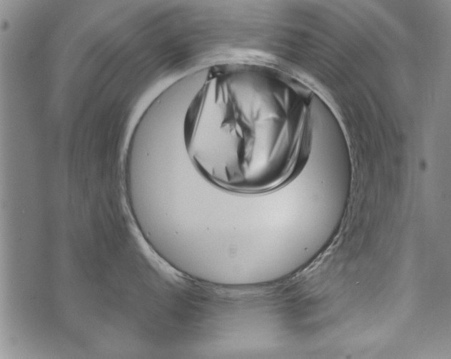 X0000073721152200608241225