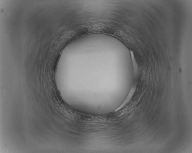 X0000073721153200608241225