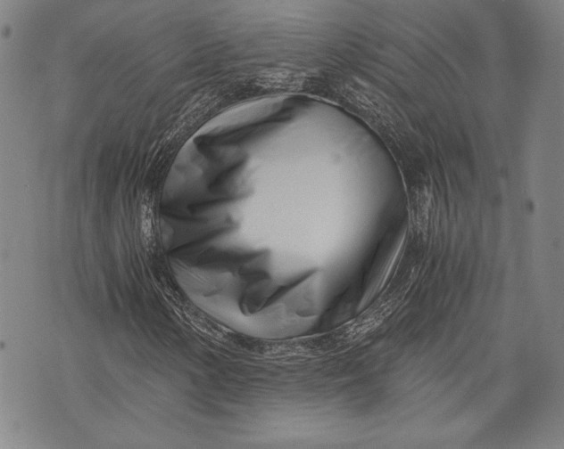 X0000073721154200608241225