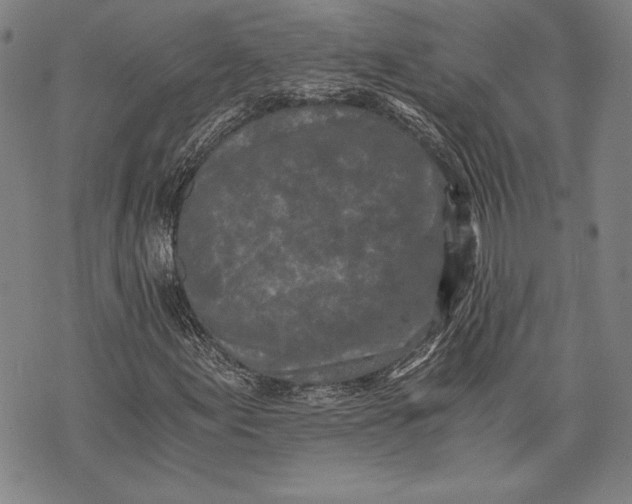 X0000073721155200608241225