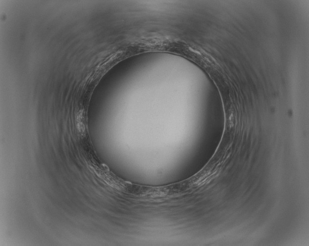 X0000073721156200608241225