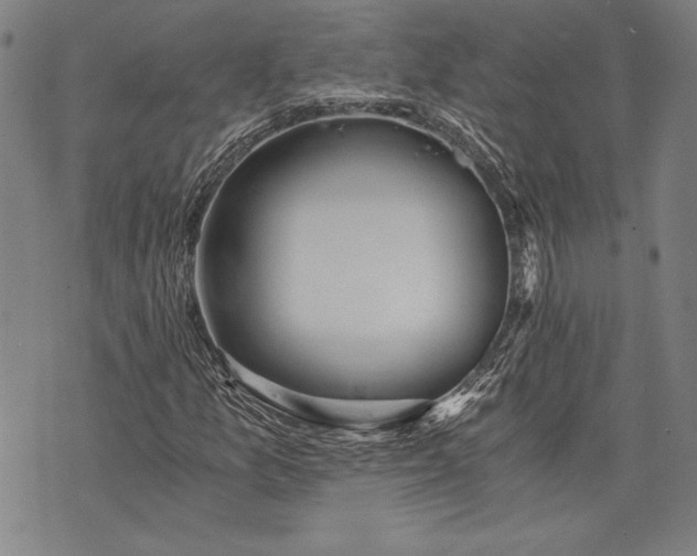 X0000073721157200608241225